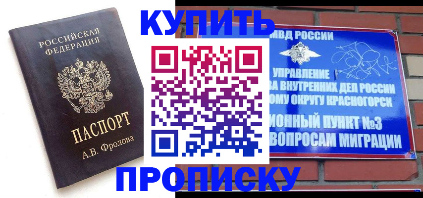 прописка поиск в Звенигово