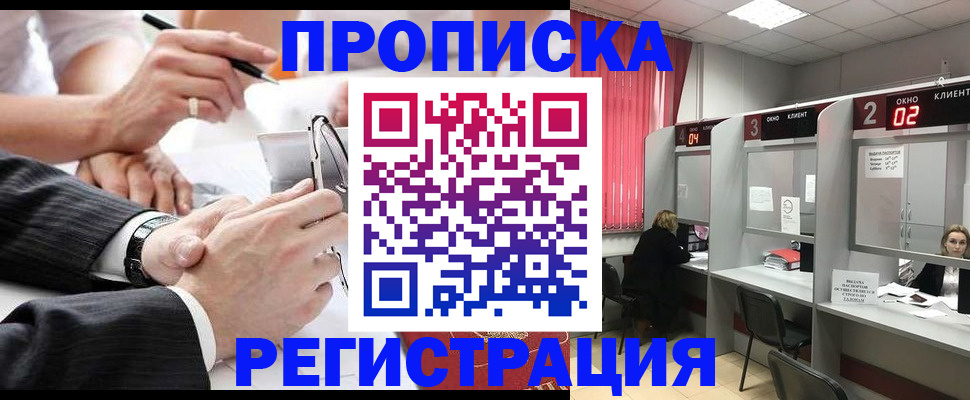 прописка 2025 в Звенигово